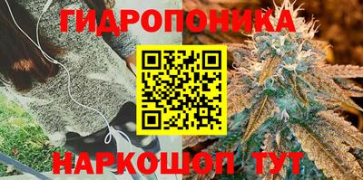 apvp Краснодар